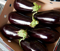 aubergine